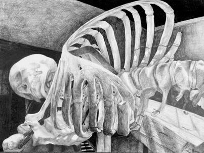 Skeleton Still Life 1